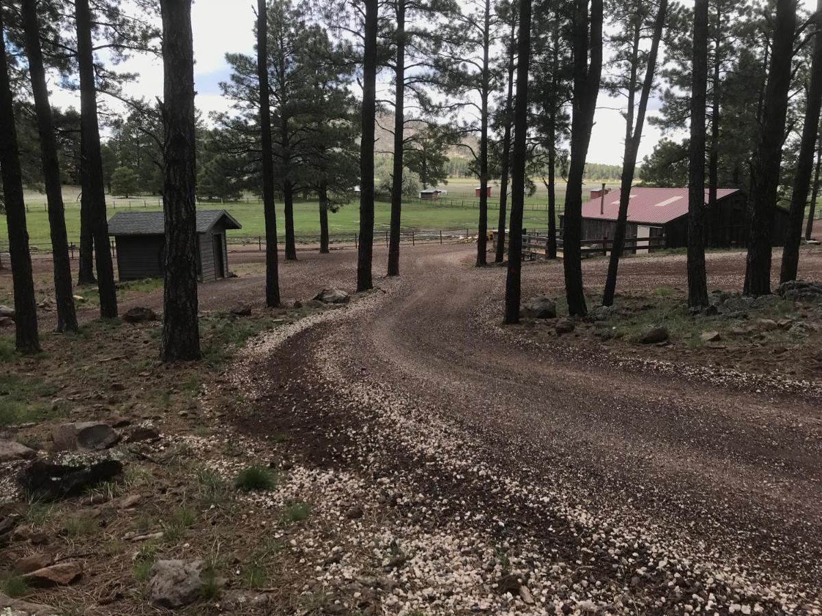 Grand Canyon 1Bd Loft/Suite-Horseback Riding-Shooting-Dogs Ok! Parks Εξωτερικό φωτογραφία
