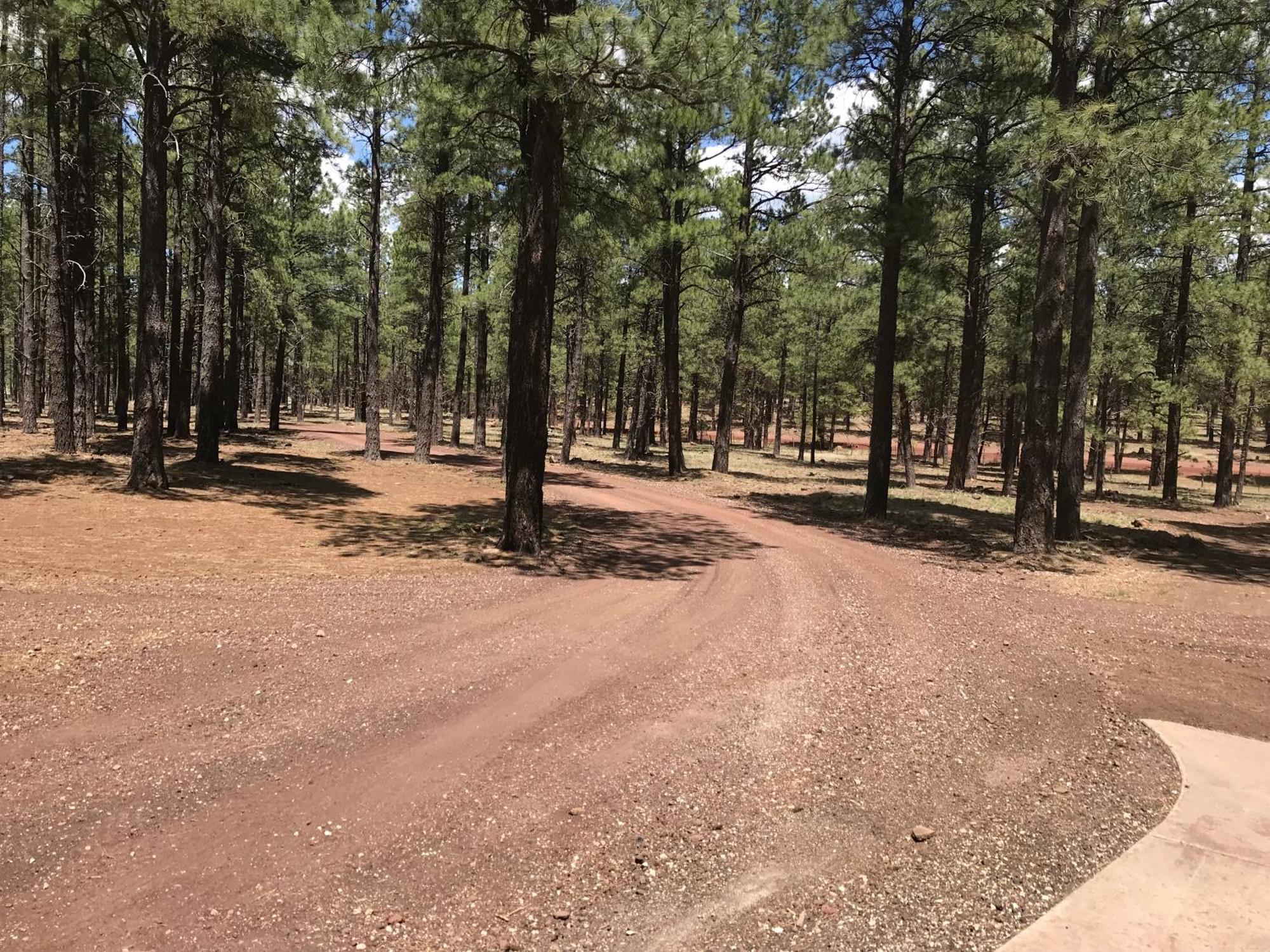 Grand Canyon 1Bd Loft/Suite-Horseback Riding-Shooting-Dogs Ok! Parks Εξωτερικό φωτογραφία
